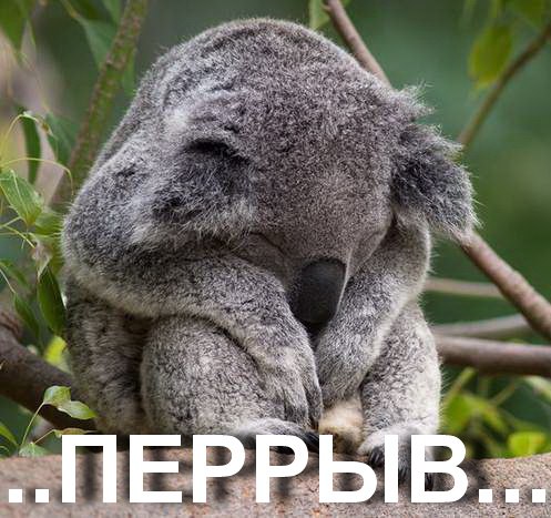 ПЕРЕРЫВ.jpg