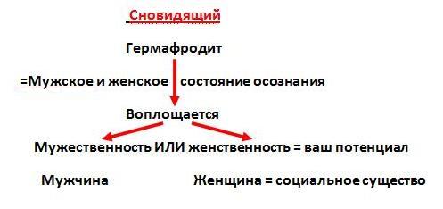 сновид=й.jpg