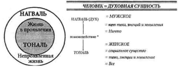 снов2.jpg