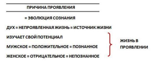 снов3.jpg